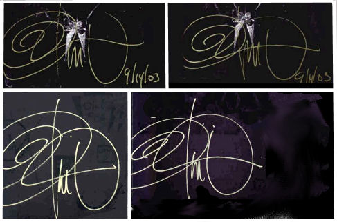 Olivia  De Berardinis signature
