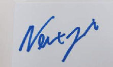 Newt  Gingrich signature