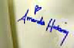 Amanda  Hocking signature