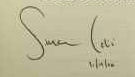 Simon  Lelic signature