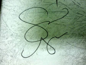 Stephenie  Meyer signature