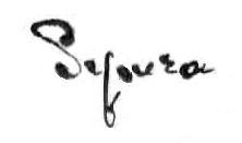 Symeon  Shimin signature